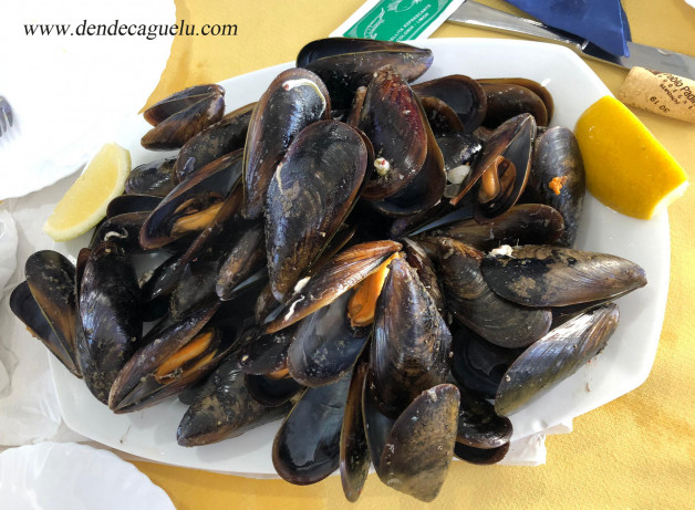 Mejillones 1