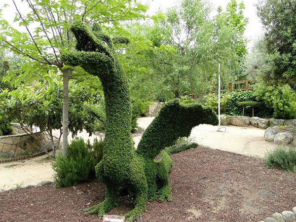 Fotos  0027 dragon 2