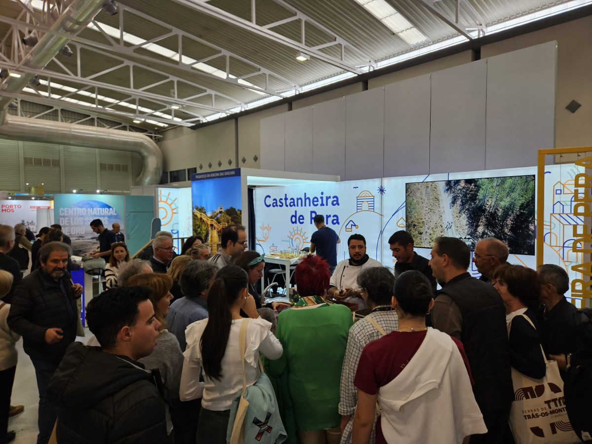 WhatsApp Image 2024 11 23 at 11.08.34