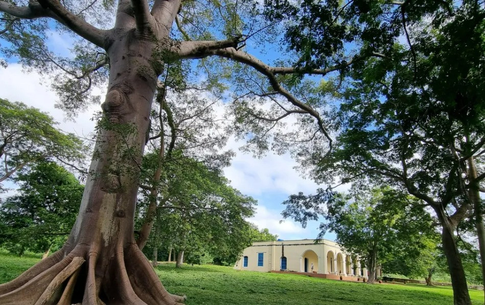 WhatsApp Image 2024 11 24 at 11.44.22